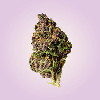 Product Image for URB's Premium Flower - Tropical Cherry Blend