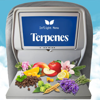 Image_For_Terpenes