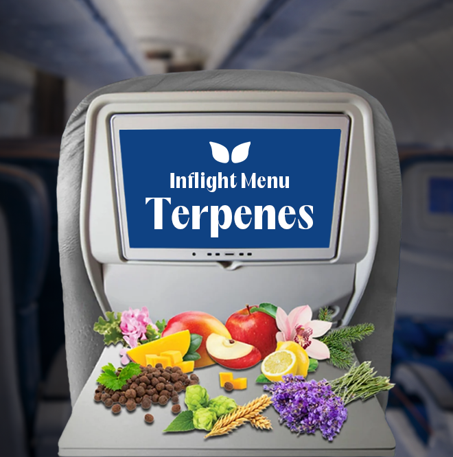 Inflight terpene menu with fruits, herbs, and flowers