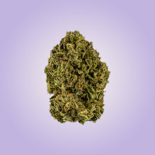 Premium Economy THCA Flower