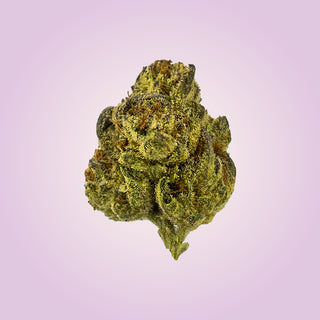 Premium Economy THCA Flower