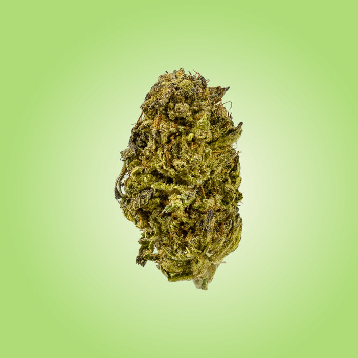 Premium Economy THCA Flower