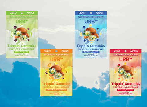 URB Mushroom Gummies Collection