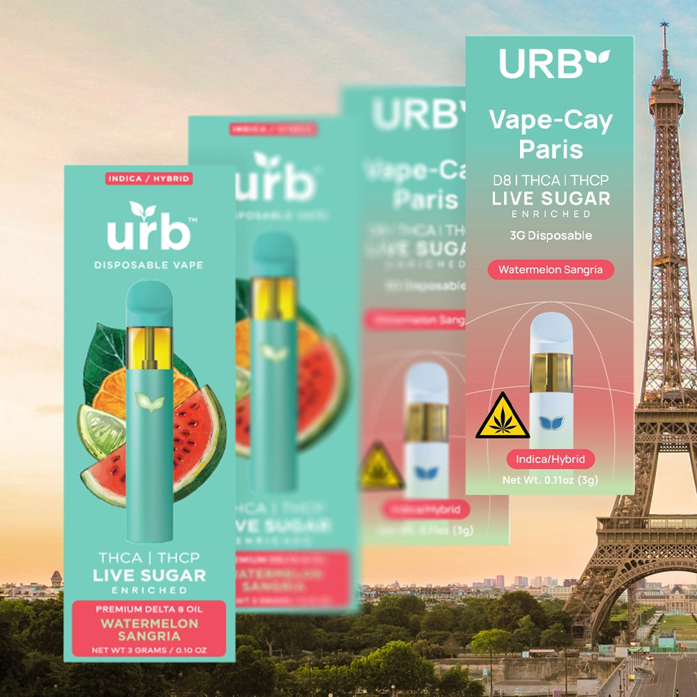 Vape-cay Paris: THCA/THCP Live Sugar Disposable 3ML | URB
