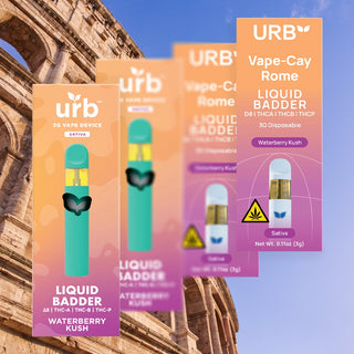 Liquid Badder Disposable 3ML